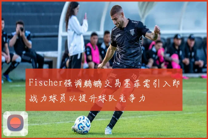 Fischer强调鹈鹕交易墨菲需引入即战力球员以提升球队竞争力